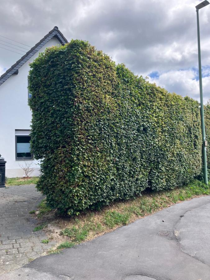 Ferienwohnung Zum Belgenbachtal Monschau Kültér fotó